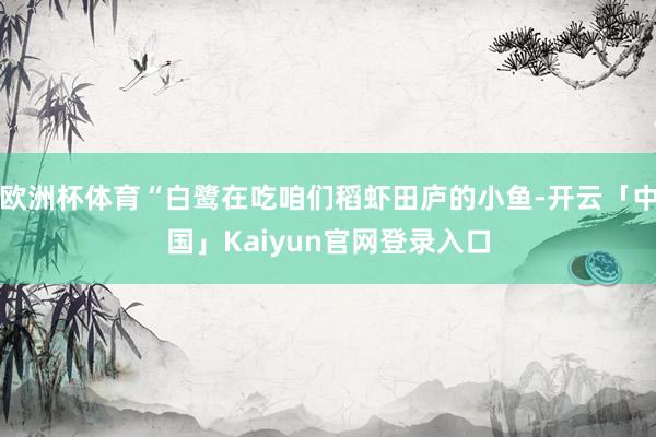 欧洲杯体育“白鹭在吃咱们稻虾田庐的小鱼-开云「中国」Kaiyun官网登录入口