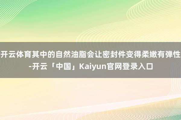 开云体育其中的自然油脂会让密封件变得柔嫩有弹性-开云「中国」Kaiyun官网登录入口