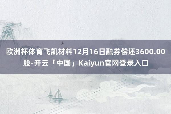 欧洲杯体育飞凯材料12月16日融券偿还3600.00股-开云「中国」Kaiyun官网登录入口