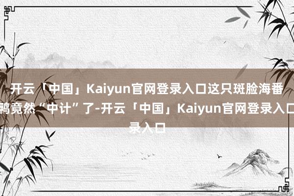 开云「中国」Kaiyun官网登录入口这只斑脸海番鸭竟然“中计”了-开云「中国」Kaiyun官网登录入口