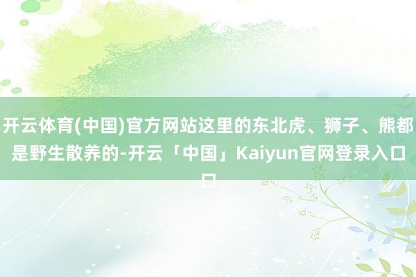 开云体育(中国)官方网站这里的东北虎、狮子、熊都是野生散养的-开云「中国」Kaiyun官网登录入口