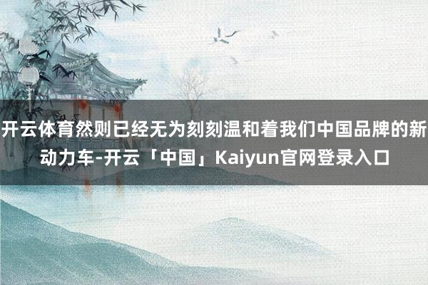 开云体育然则已经无为刻刻温和着我们中国品牌的新动力车-开云「中国」Kaiyun官网登录入口