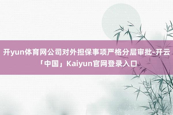 开yun体育网公司对外担保事项严格分层审批-开云「中国」Kaiyun官网登录入口