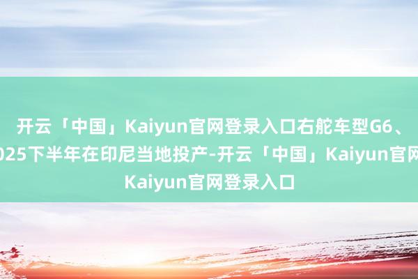 开云「中国」Kaiyun官网登录入口右舵车型G6、X9将于2