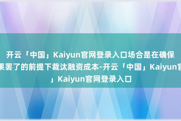 开云「中国」Kaiyun官网登录入口场合是在确保老本补充成果罢了的前提下裁汰融资成本-开云「中国」Kaiyun官网登录入口