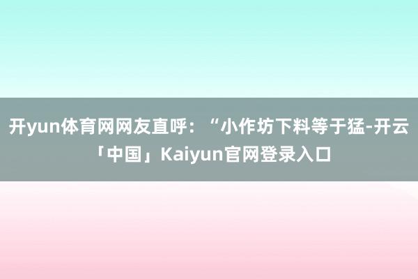 开yun体育网网友直呼：“小作坊下料等于猛-开云「中国」Kaiyun官网登录入口