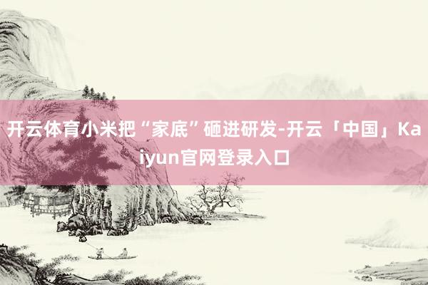 开云体育小米把“家底”砸进研发-开云「中国」Kaiyun官网登录入口