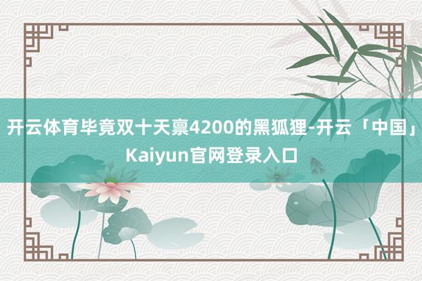 开云体育毕竟双十天禀4200的黑狐狸-开云「中国」Kaiyu