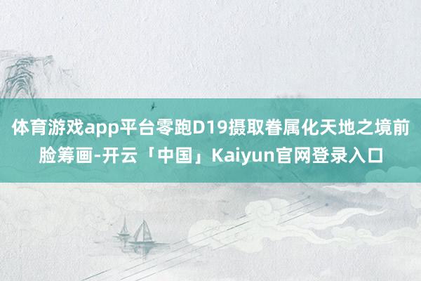 体育游戏app平台零跑D19摄取眷属化天地之境前脸筹画-开云