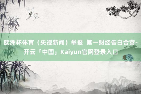 欧洲杯体育（央视新闻）举报  第一财经告白合营-开云「中国」Kaiyun官网登录入口