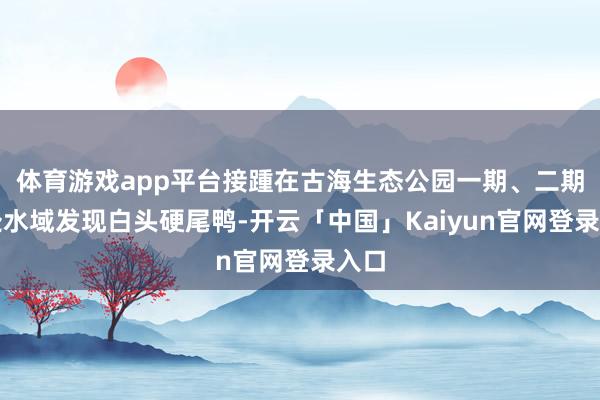 体育游戏app平台接踵在古海生态公园一期、二期两处水域发现白