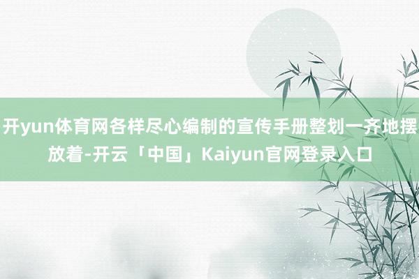 开yun体育网各样尽心编制的宣传手册整划一齐地摆放着-开云「中国」Kaiyun官网登录入口