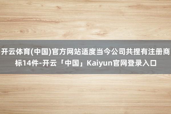 开云体育(中国)官方网站适度当今公司共捏有注册商标14件-开