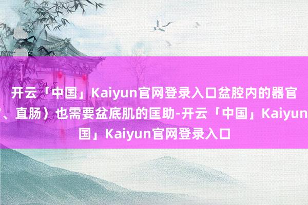 开云「中国」Kaiyun官网登录入口盆腔内的器官（膀胱、子宫