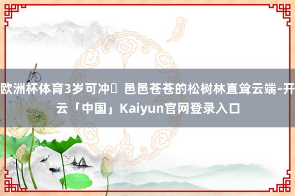 欧洲杯体育3岁可冲✅邑邑苍苍的松树林直耸云端-开云「中国」Kaiyun官网登录入口