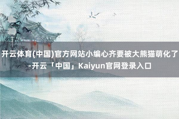 开云体育(中国)官方网站小编心齐要被大熊猫萌化了-开云「中国」Kaiyun官网登录入口