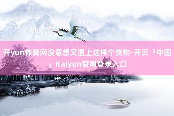 开yun体育网没意想又遇上这样个货物-开云「中国」Kaiyun官网登录入口
