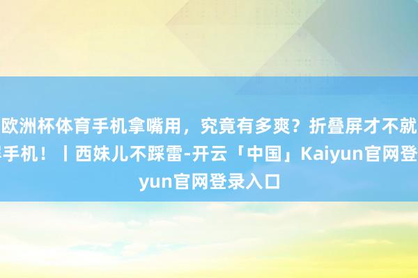 欧洲杯体育手机拿嘴用，究竟有多爽？折叠屏才不就是大屏手机！丨