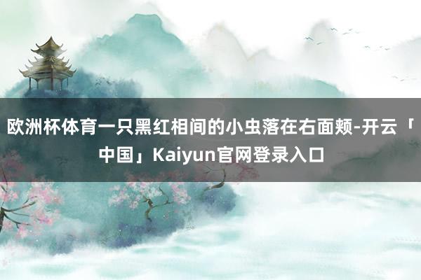 欧洲杯体育一只黑红相间的小虫落在右面颊-开云「中国」Kaiyun官网登录入口