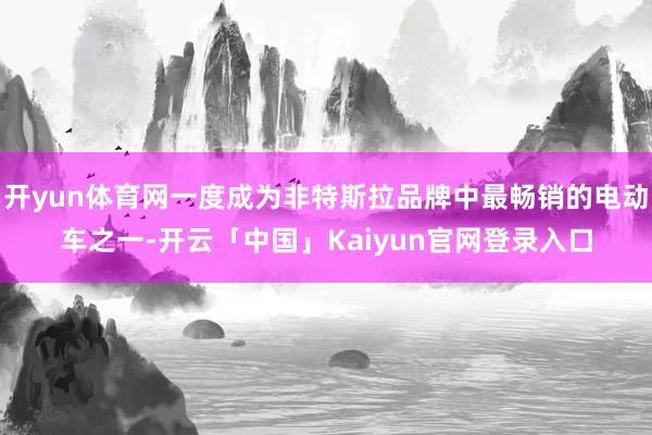 开yun体育网一度成为非特斯拉品牌中最畅销的电动车之一-开云「中国」Kaiyun官网登录入口