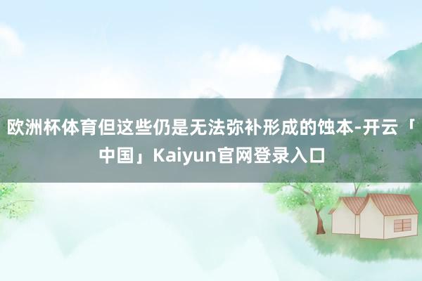 欧洲杯体育但这些仍是无法弥补形成的蚀本-开云「中国」Kaiyun官网登录入口
