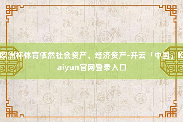 欧洲杯体育依然社会资产、经济资产-开云「中国」Kaiyun官