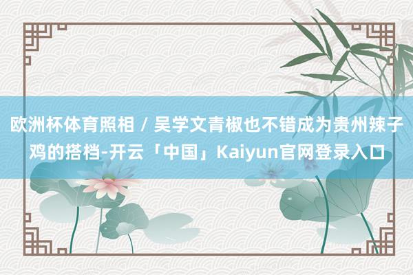 欧洲杯体育照相 / 吴学文青椒也不错成为贵州辣子鸡的搭档-开