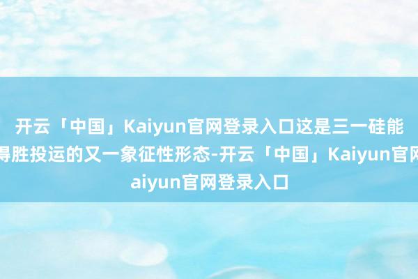 开云「中国」Kaiyun官网登录入口这是三一硅能在赞比亚得胜