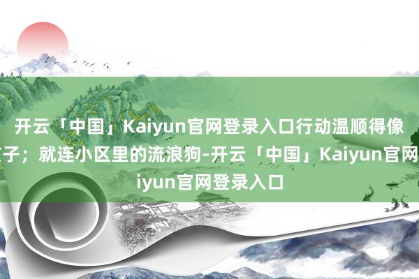 开云「中国」Kaiyun官网登录入口行动温顺得像在包涵孩子；