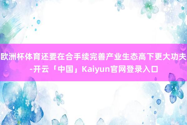 欧洲杯体育还要在合手续完善产业生态高下更大功夫-开云「中国」Kaiyun官网登录入口